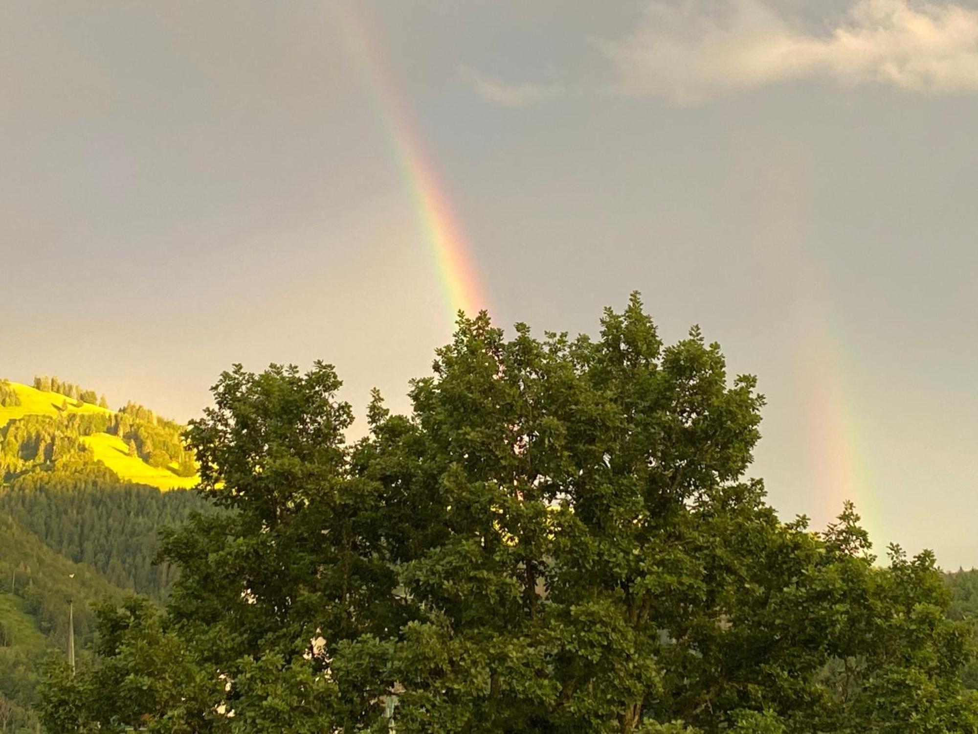 Ferienwohnung Schoenblick Schönau im Schwarzwald Eksteriør bilde